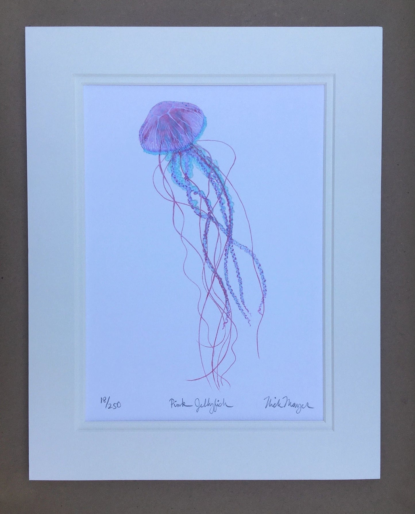 Jelly Giclee Prints Nick Mayer Inventory Pink Jellyfish