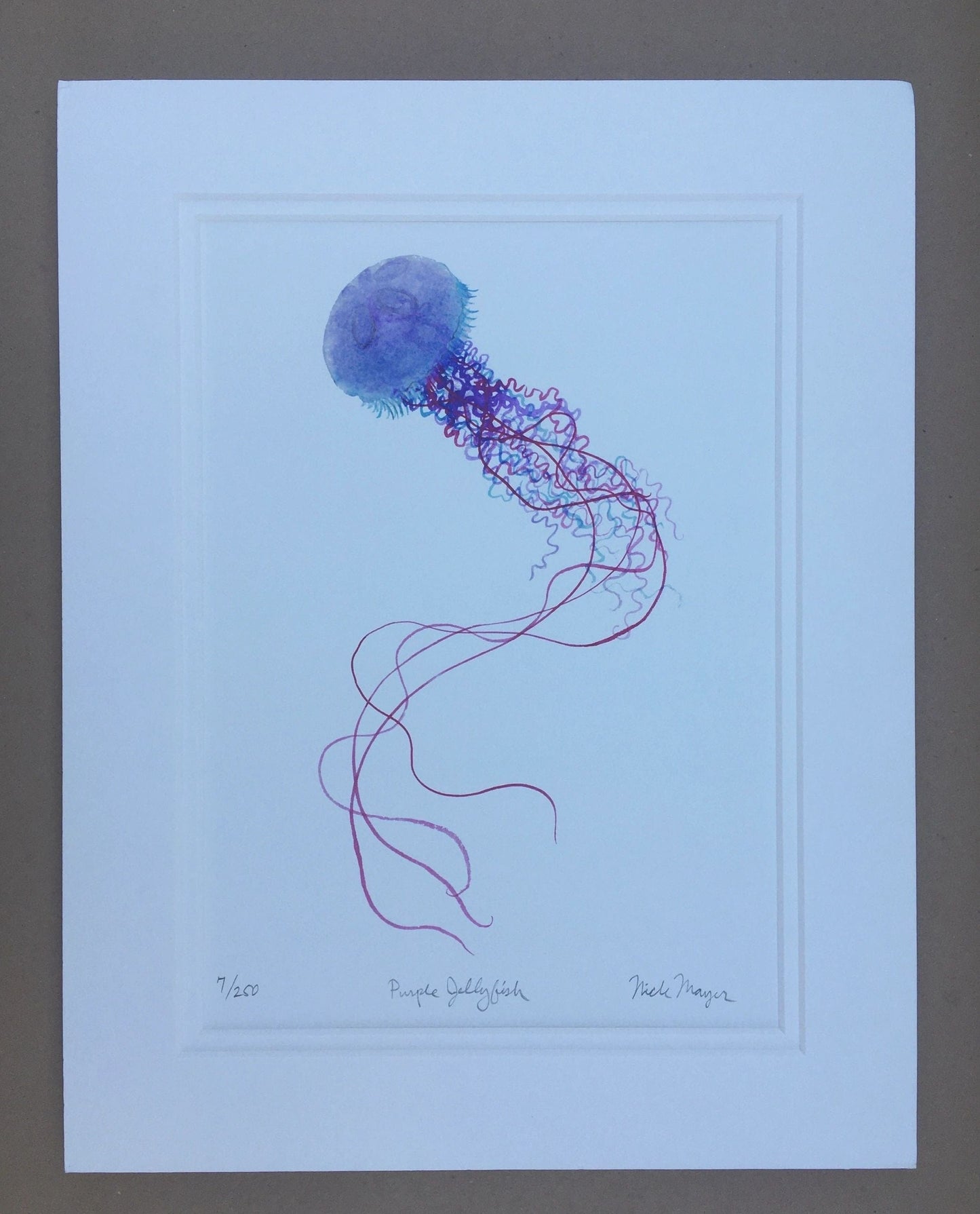 Jelly Giclee Prints Nick Mayer Inventory Purple Jellyfish 1