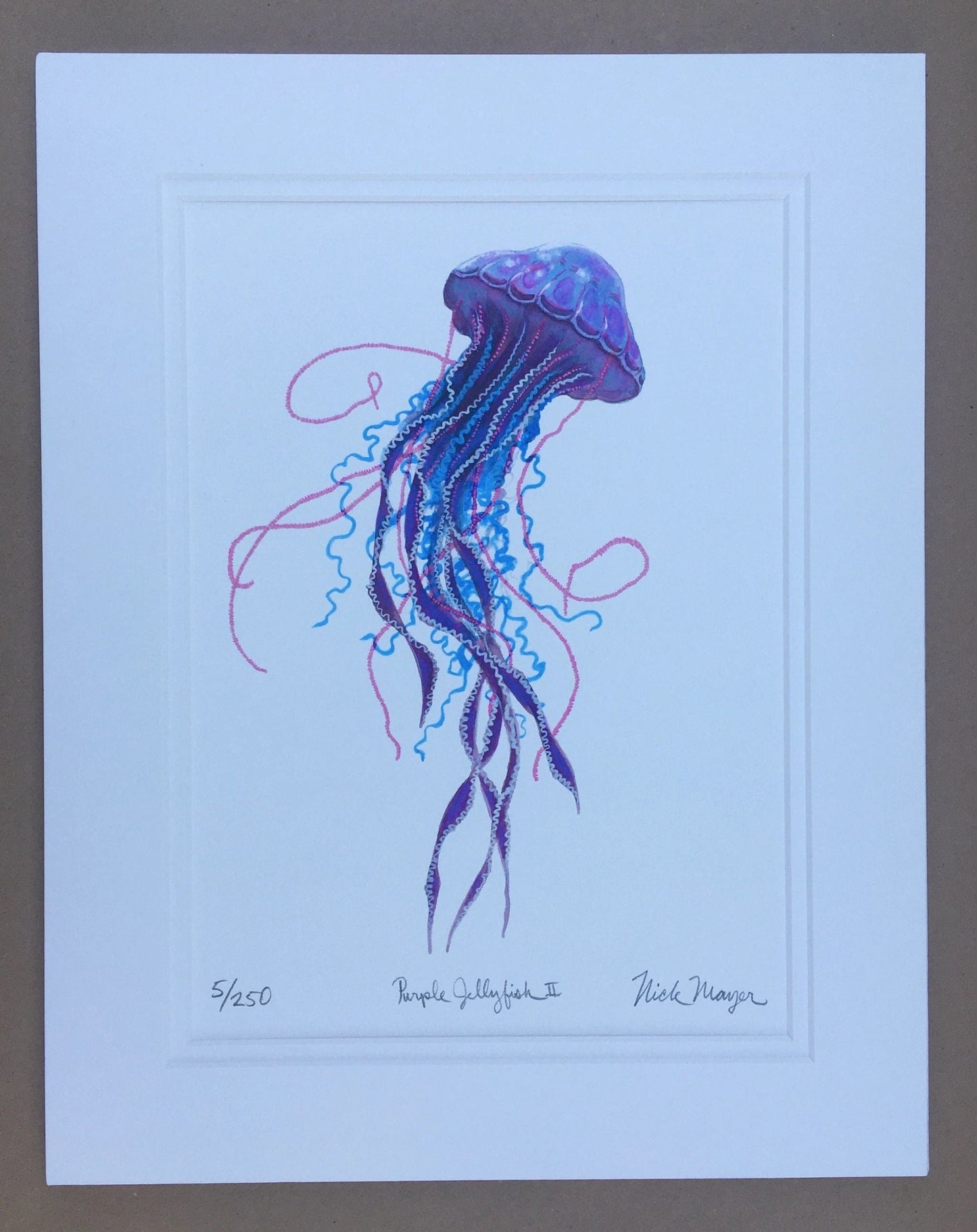 Jelly Giclee Prints Nick Mayer Inventory Purple Jellyfish 2