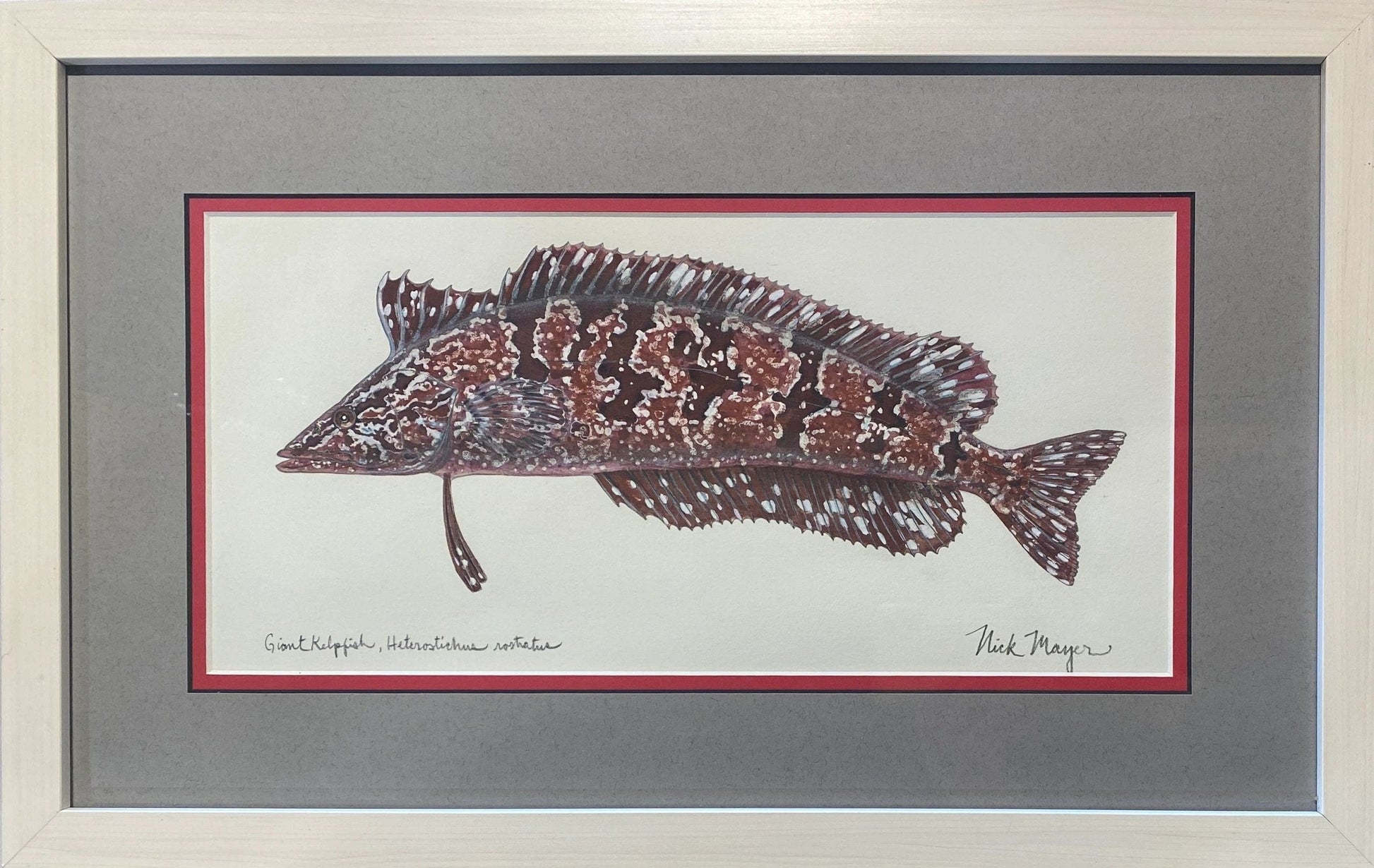 "Kelpfish" Original Watercolor Nick Mayer Consignment