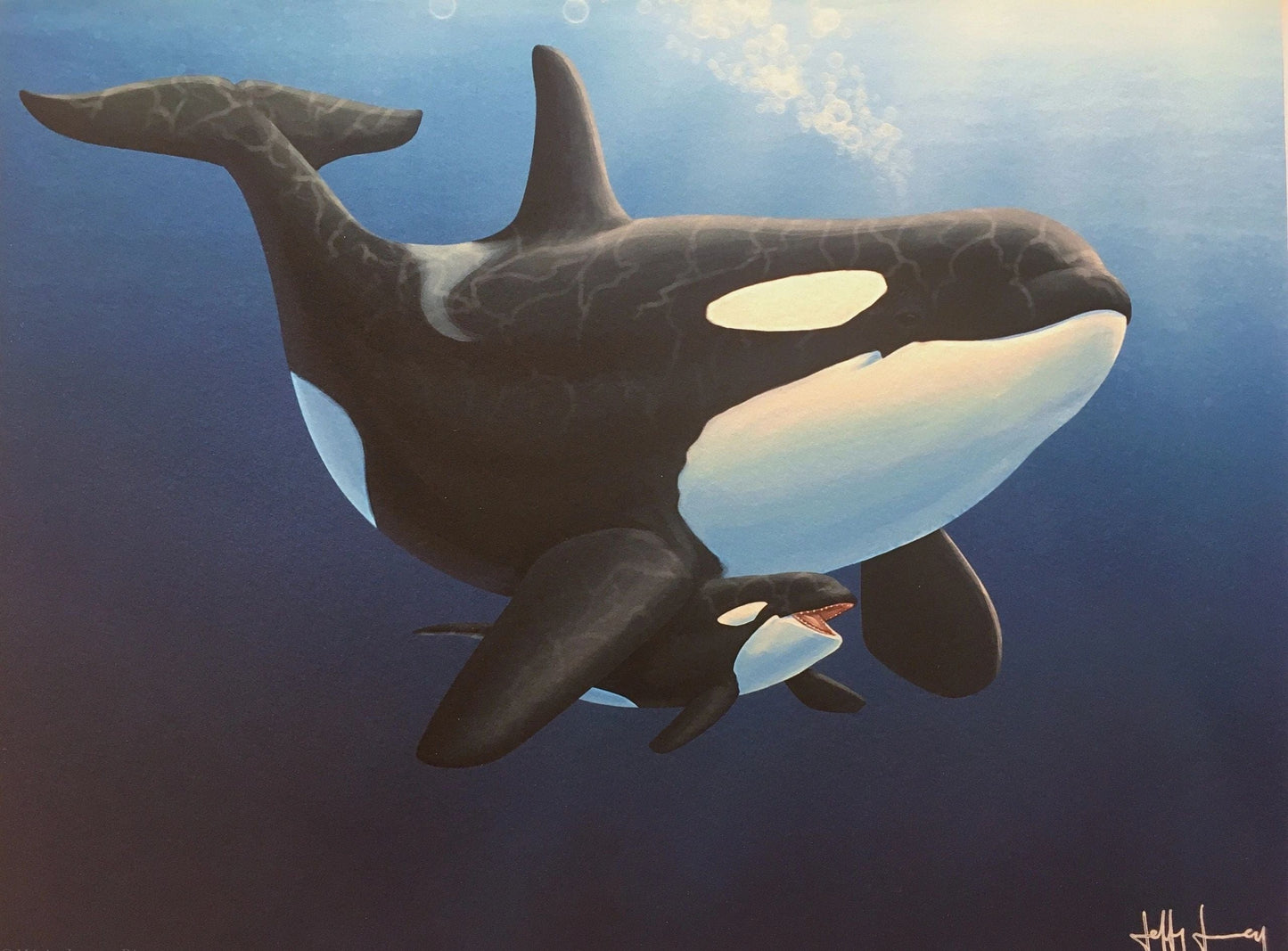 Killer Whale and Baby Print John Jenny Inventory