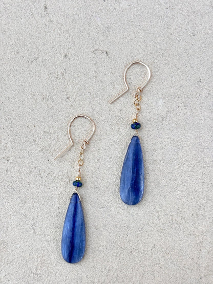 Kyanite 14K GF Earrings Elise Peters Inventory