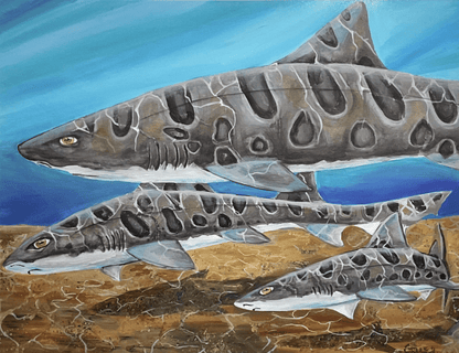 "Leopard Shark" Prints M Gower Consignment