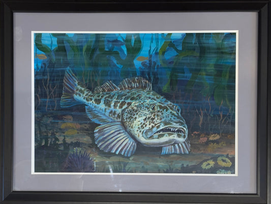 "Ling Cod" Original Painting By David Dies Afishinados Consignment