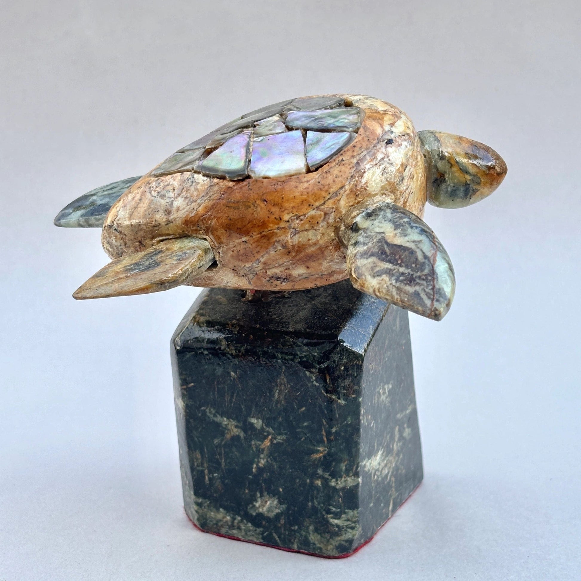 Local Abalone Soapstone Turtle BUCK LOPEZ Consignment