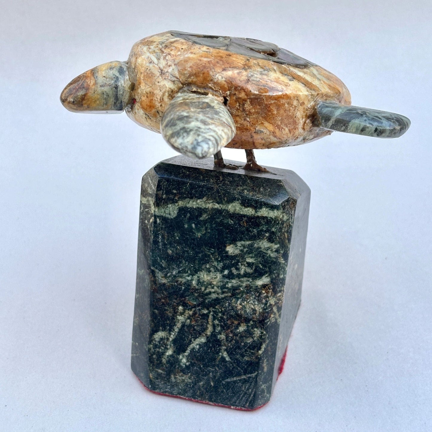 Local Abalone Soapstone Turtle BUCK LOPEZ Consignment