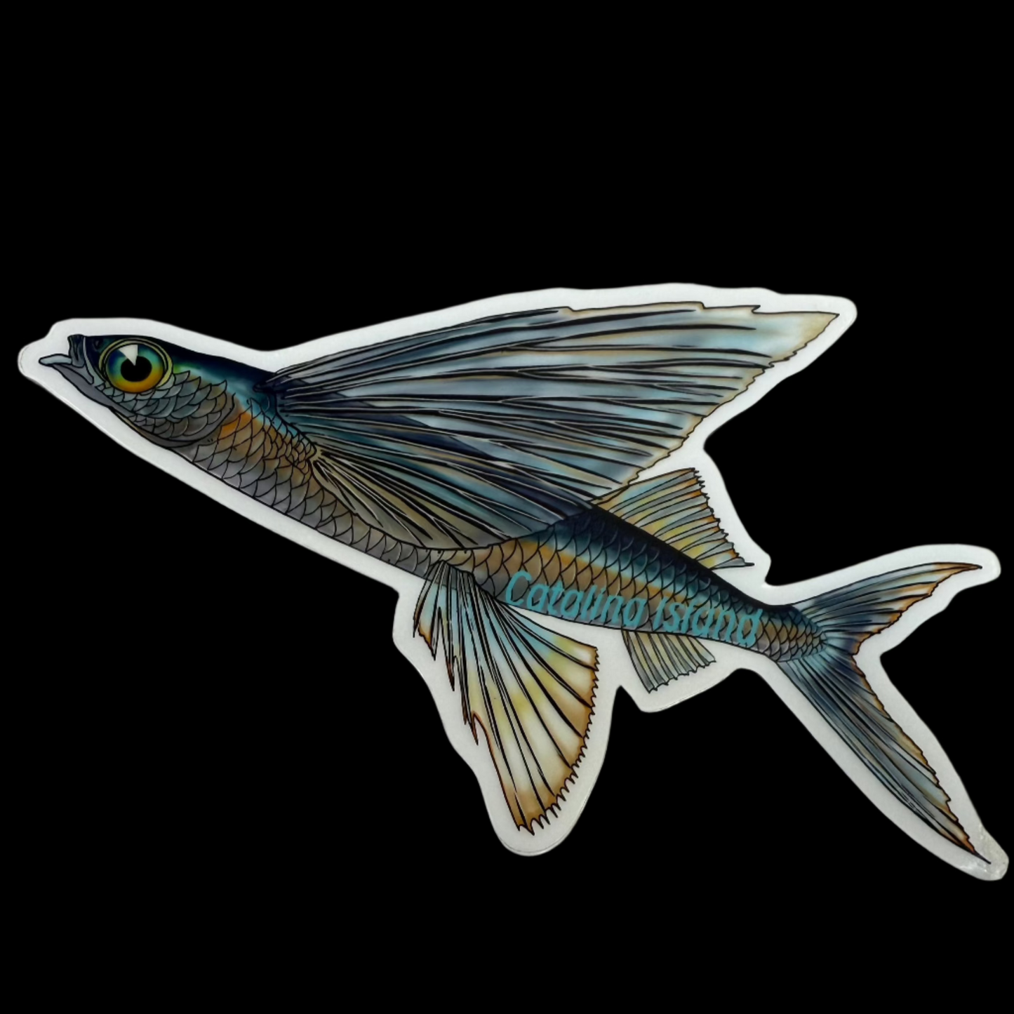 Local Catalina Island Fish Sticker Mike Gower Inventory