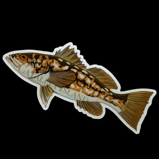 Local Catalina Island Fish Sticker Mike Gower Inventory