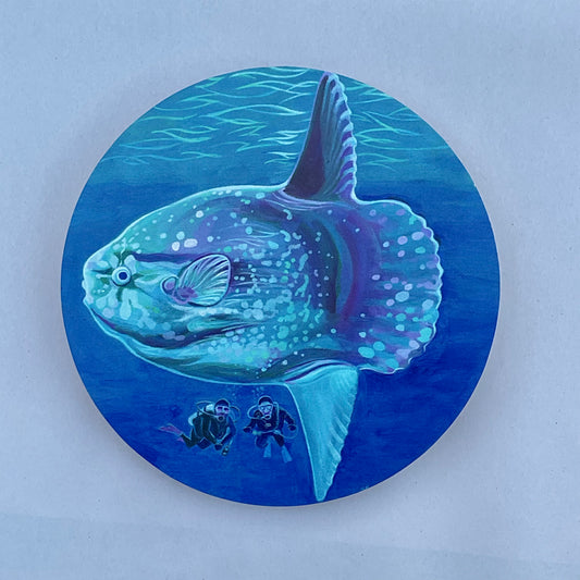 Mola Mola Porthole Circular Wooden Print Stephen Holman Consignment