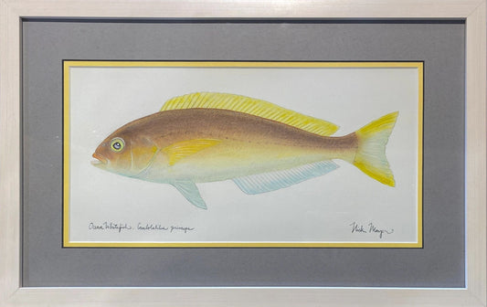 "Ocean Whitefish" Original Watercolor Nick Mayer Consignment