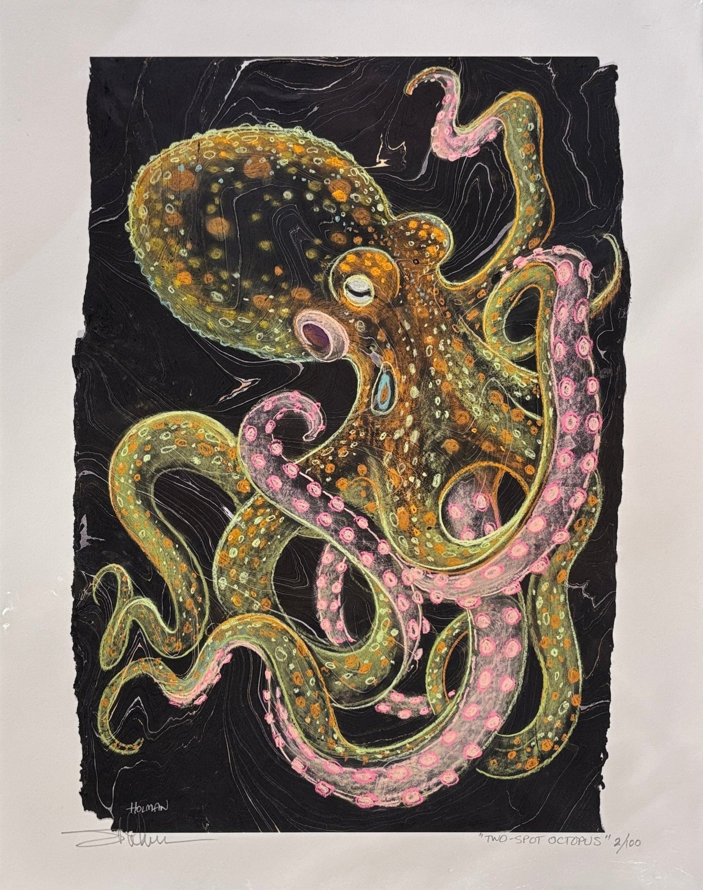 Octopus Giclee in Pink Stephen Holman Consignment