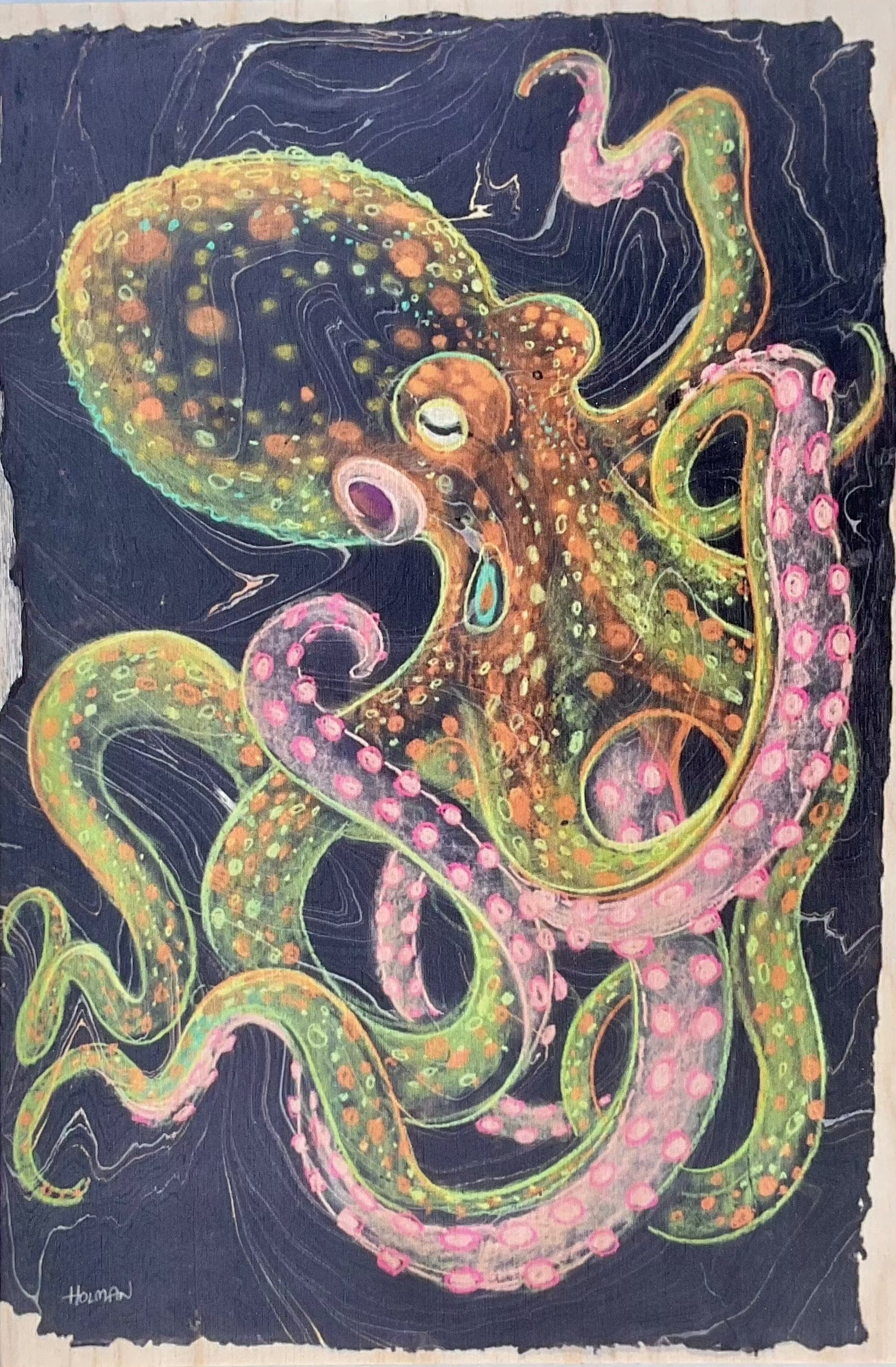 Octopus Print on Wood Panel Stephen Holman Consignment Medium Pink/Black