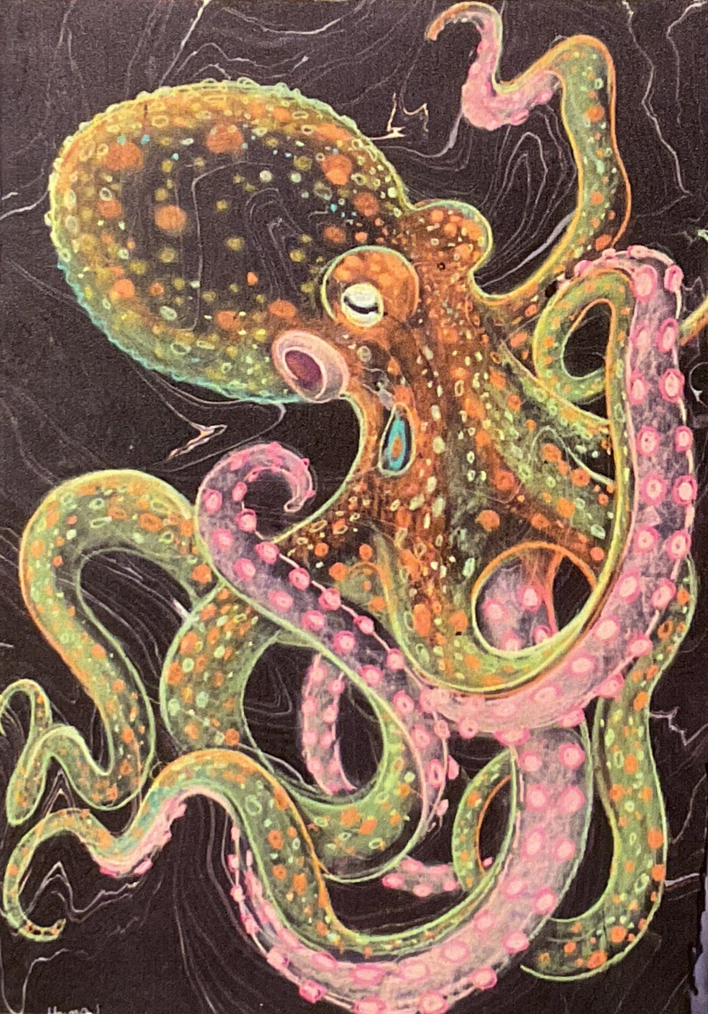 Octopus Print on Wood Panel Stephen Holman Consignment SMALL PINK WITH BLACK