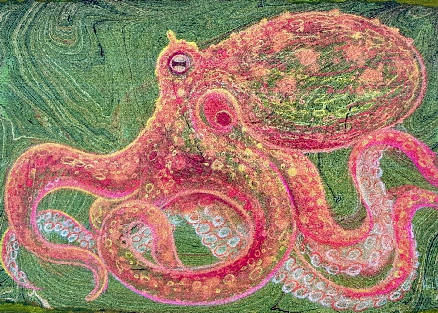 Octopus Print on Wood Panel Stephen Holman Consignment SMALL WITH ORANGE/GREEN