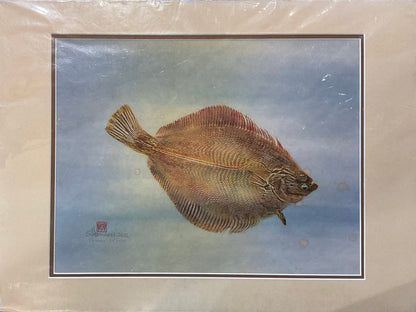 Original Halibut Gyotaku Print Afishinados Inventory