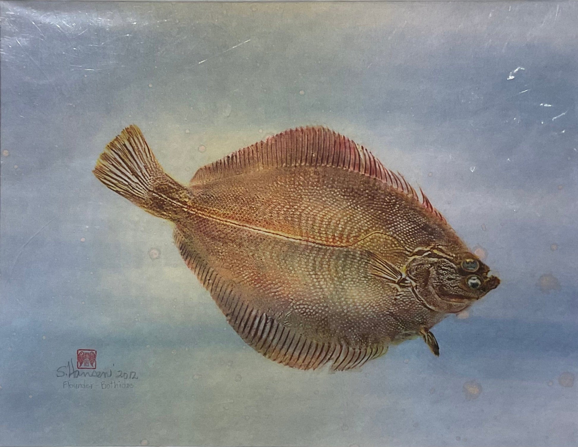 Original Halibut Gyotaku Print Afishinados Inventory