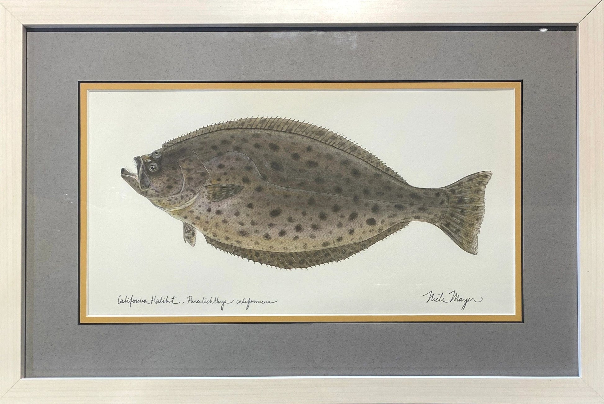 Original Halibut Watercolor Painting Nick Mayer Consignment