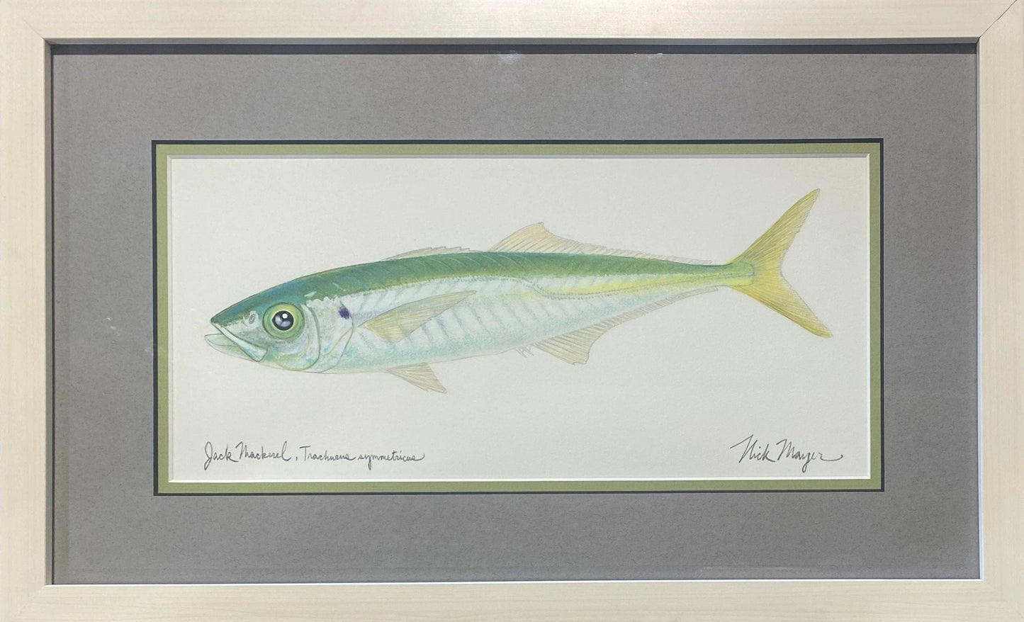 Original Jackmackerel Watercolor Painting Nick Mayer Consignment