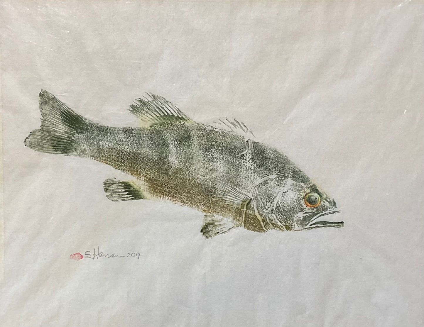 Original Rockfish Gyotaku Print Afishinados Inventory