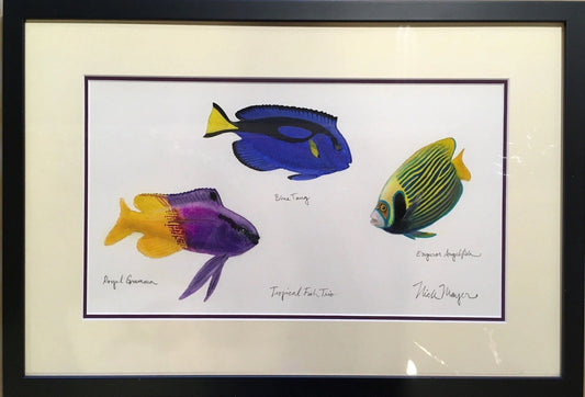 Original Tropical Fish Trio Watercolor Painting Nick Mayer Consignment