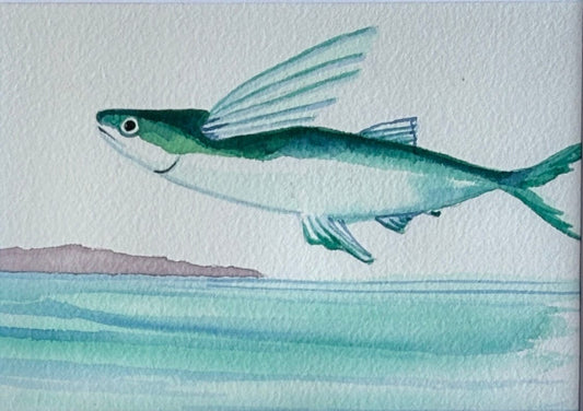 Original Watercolor Paintings by Kelly - "Flying Fish" K Callihan Consignment