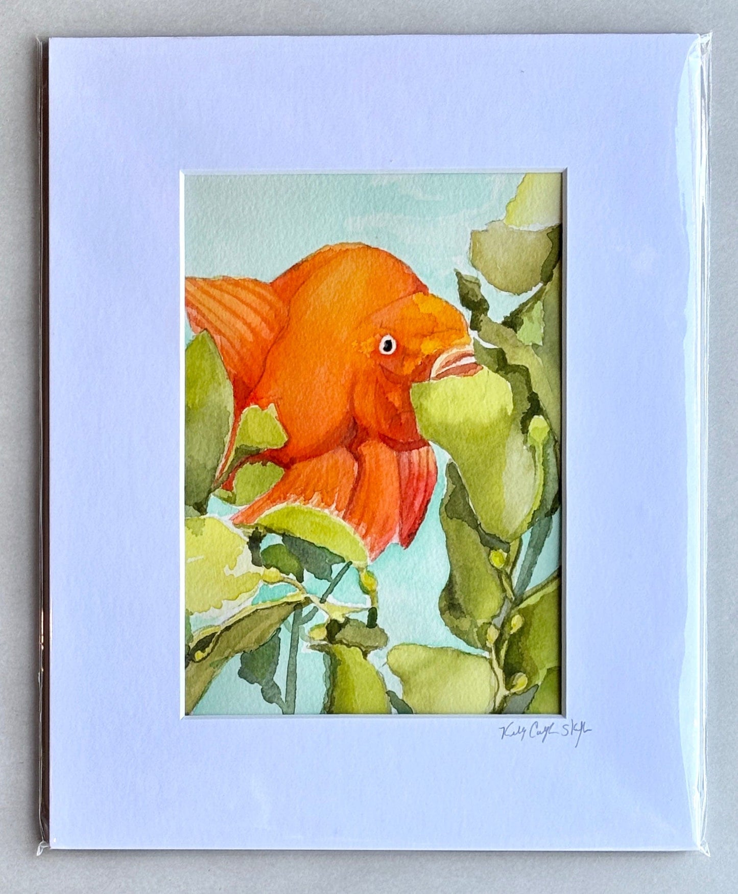 Original Watercolor Paintings by Kelly - "Garibaldis" K Callihan Consignment