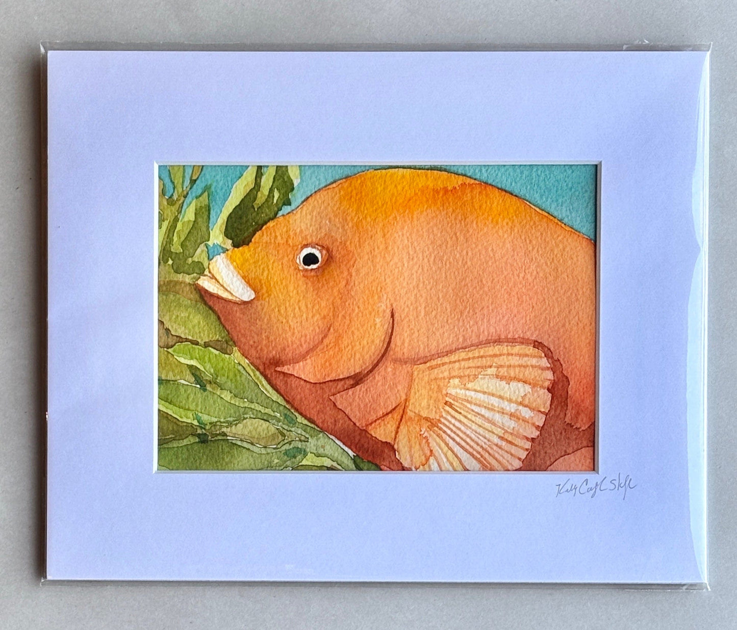 Original Watercolor Paintings by Kelly - "Garibaldis" K Callihan Consignment