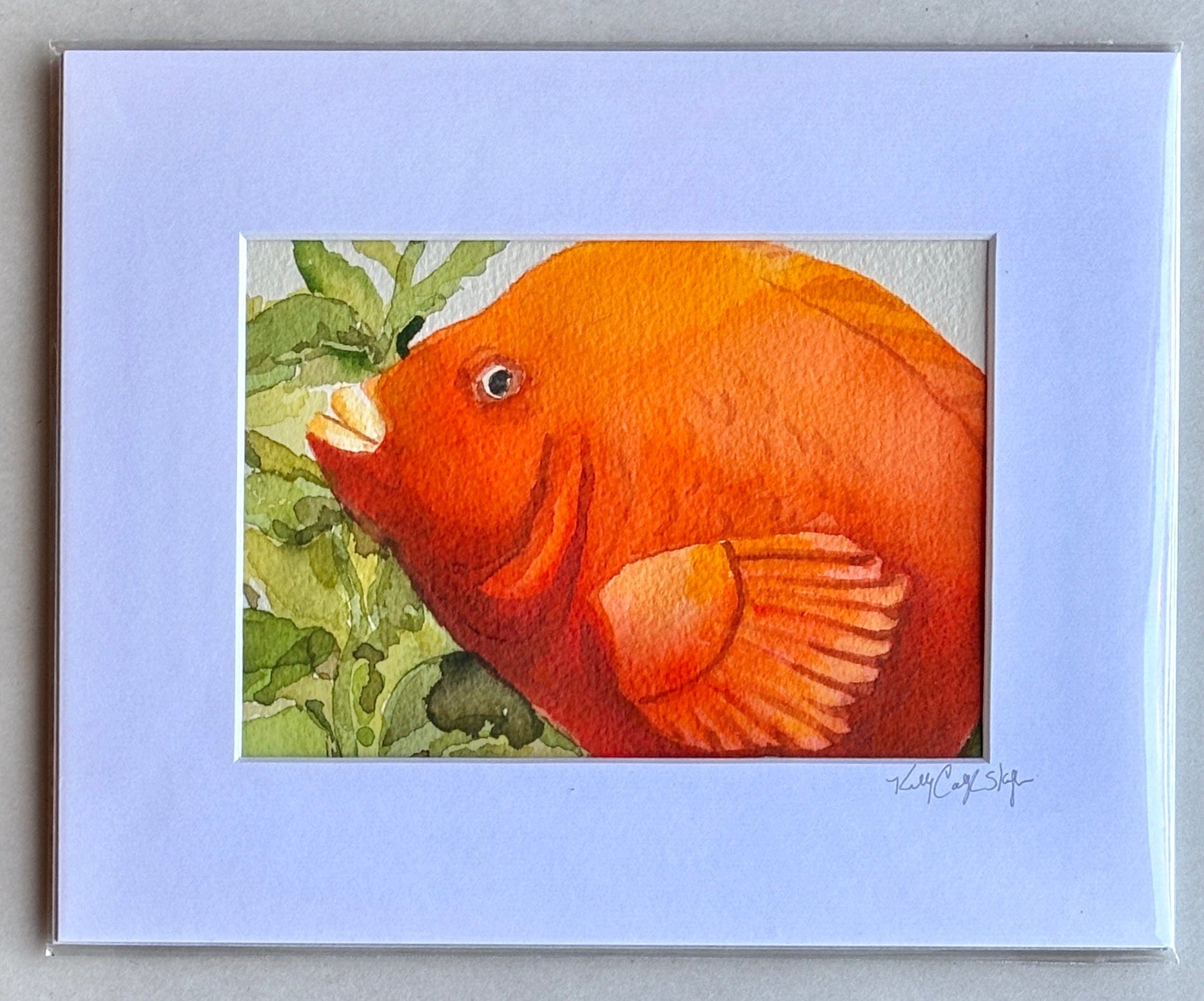 Original Watercolor Paintings by Kelly - "Garibaldis" K Callihan Consignment