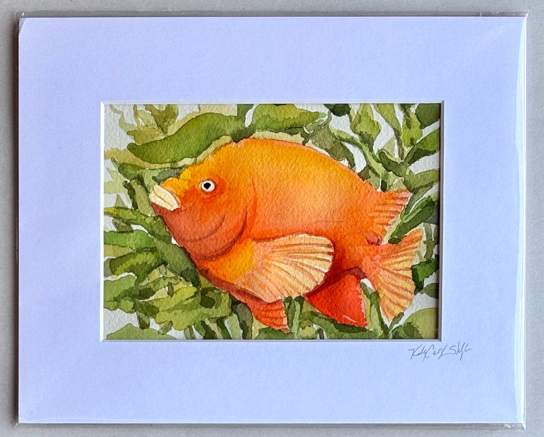 Original Watercolor Paintings by Kelly - "Garibaldis" K Callihan Consignment