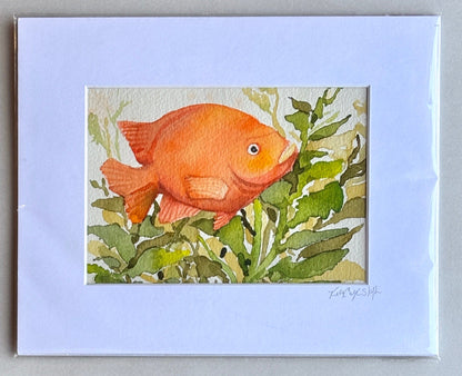 Original Watercolor Paintings by Kelly - "Garibaldis" K Callihan Consignment