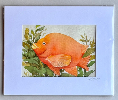 Original Watercolor Paintings by Kelly - "Garibaldis" K Callihan Consignment