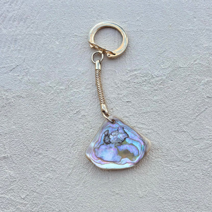 Polished Vintage Catalina Abalone Keychains Loralynne W Inventory