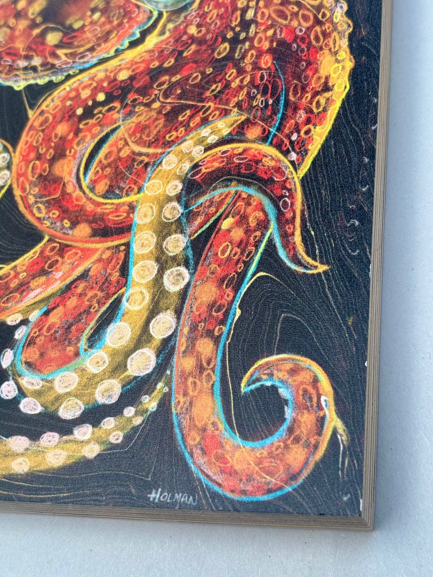 "Red Common Octopus on Black" Wood Panel Print Stephen Holman Consignment