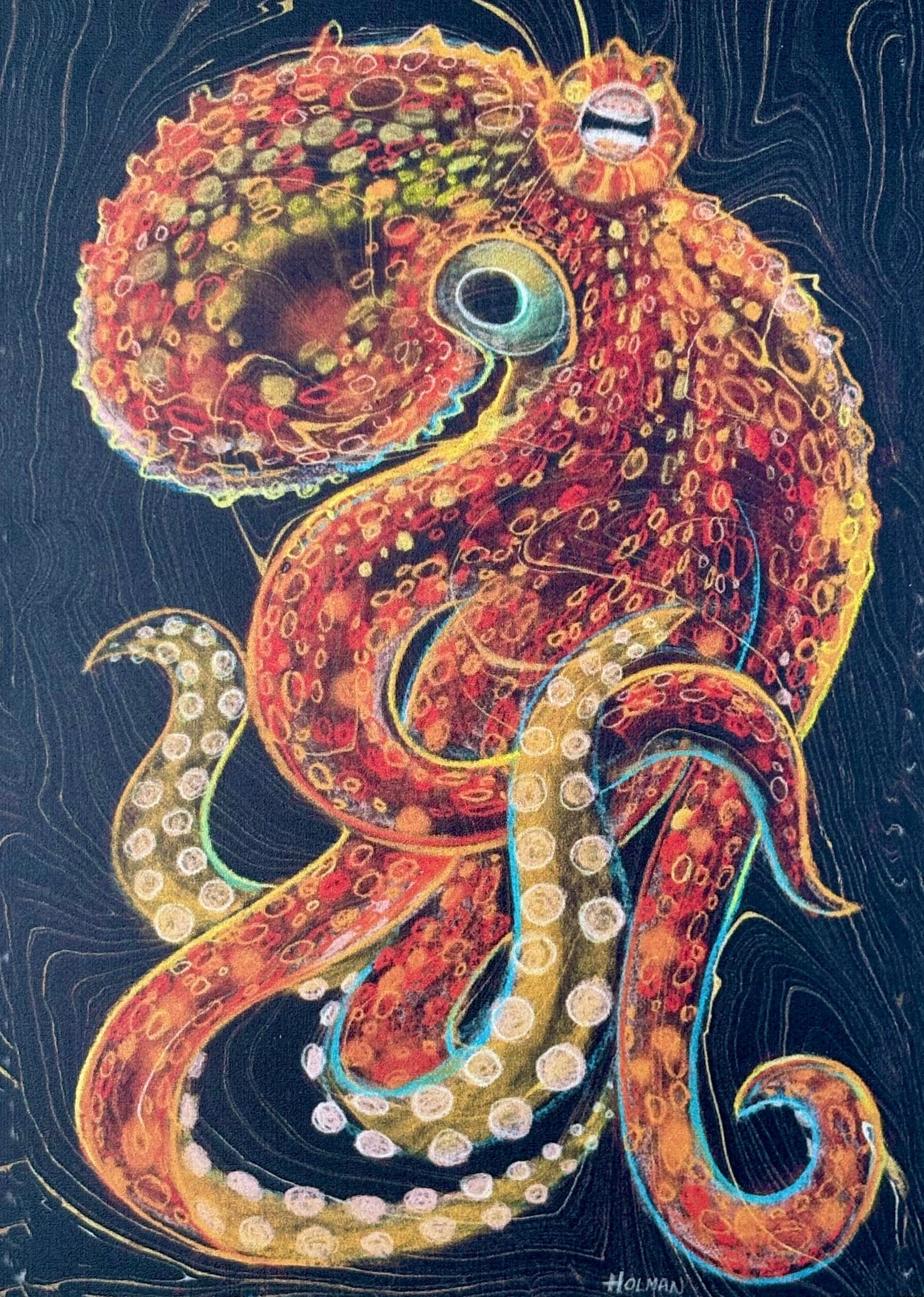 "Red Common Octopus on Black" Wood Panel Print Stephen Holman Consignment