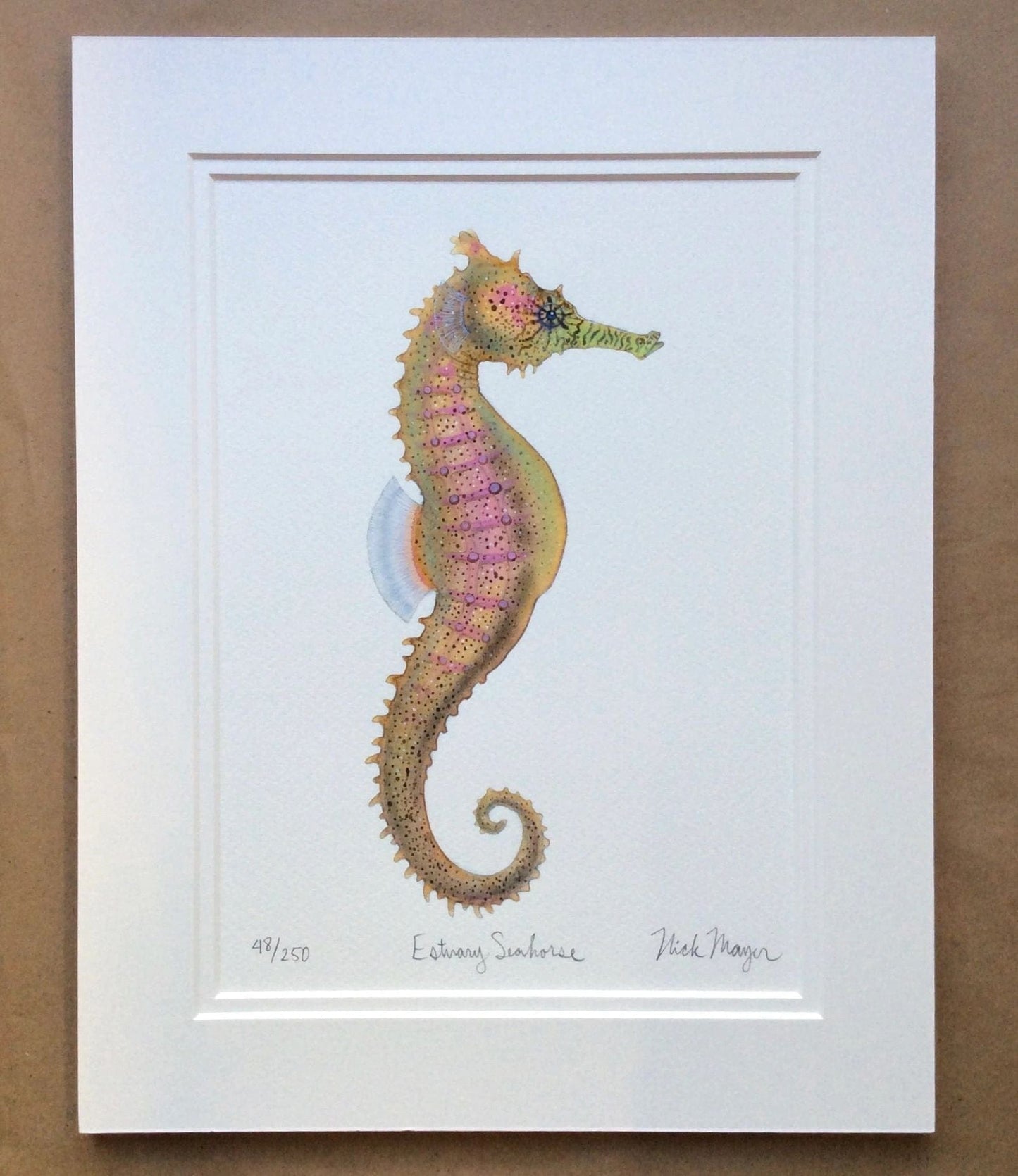 Seahorses & Seadragons Giclee Prints Nick Mayer Inventory Estuary Seahorse