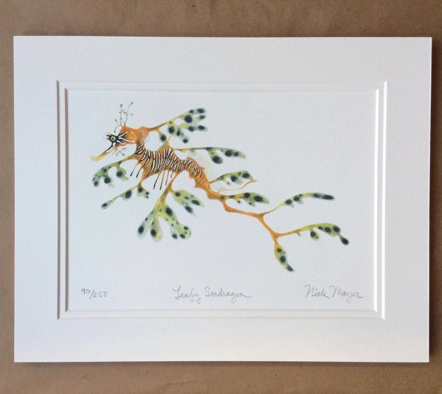 Seahorses & Seadragons Giclee Prints Nick Mayer Inventory Leafy Seadragon