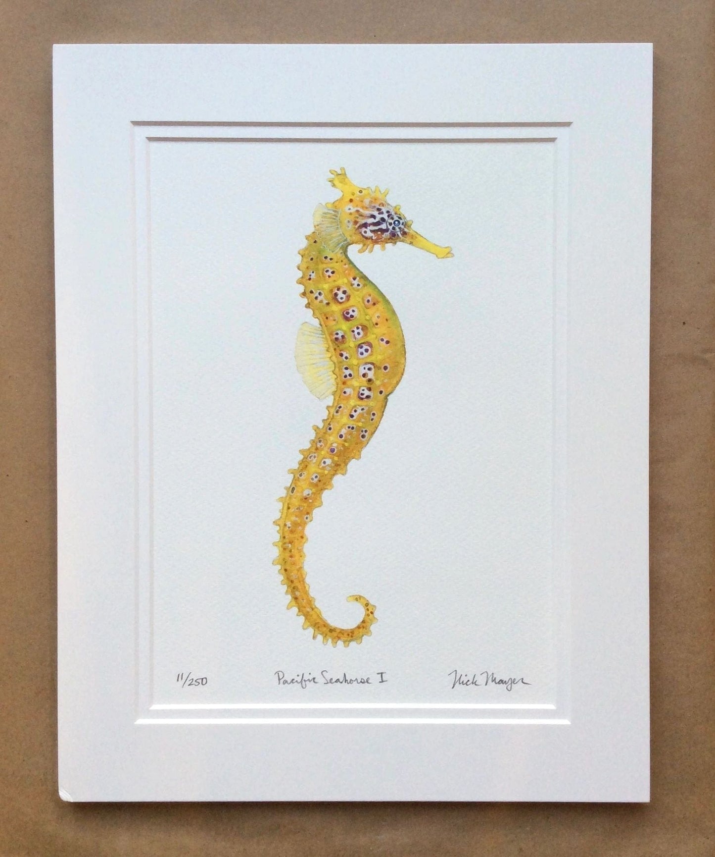 Seahorses & Seadragons Giclee Prints Nick Mayer Inventory Pacific Seahorses 1