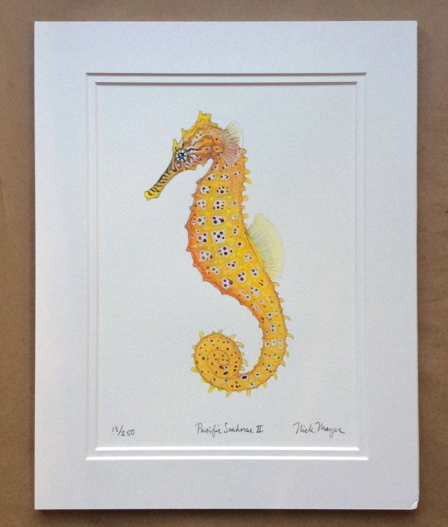 Seahorses & Seadragons Giclee Prints Nick Mayer Inventory Pacific Seahorses 2