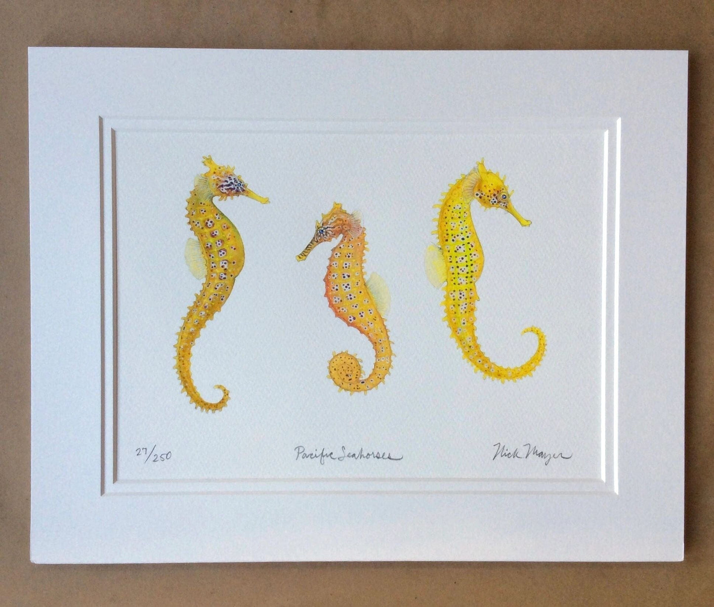 Seahorses & Seadragons Giclee Prints Nick Mayer Inventory Pacific Seahorses Trio