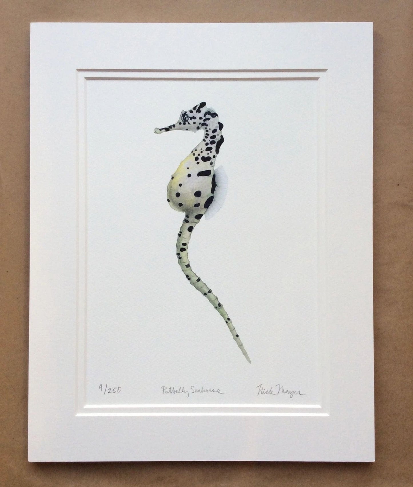 Seahorses & Seadragons Giclee Prints Nick Mayer Inventory Pot Belly