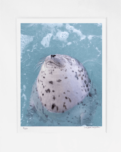 "Snoot" Limited Edition Print Chelsea Mayer Consignment