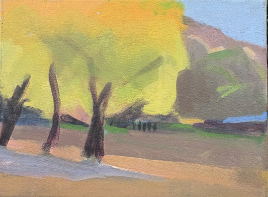 'Sonoma Afternoon' Afishinados