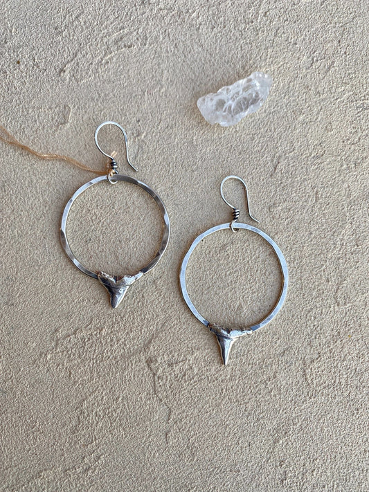 Sterling Shark Tooth Hoop Earrings Low Tide (CJA_) Consignment