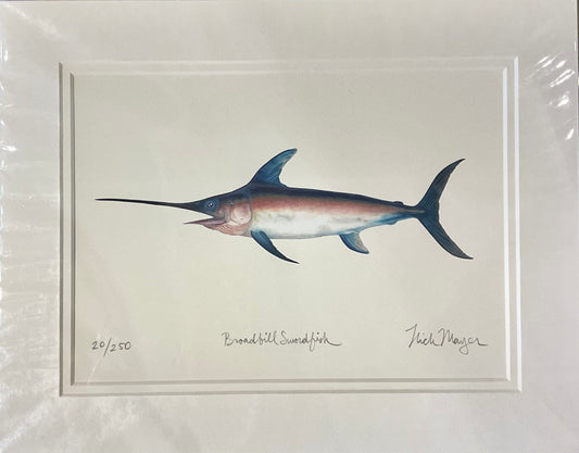 Swordfish Giclee Print Nick Mayer Inventory