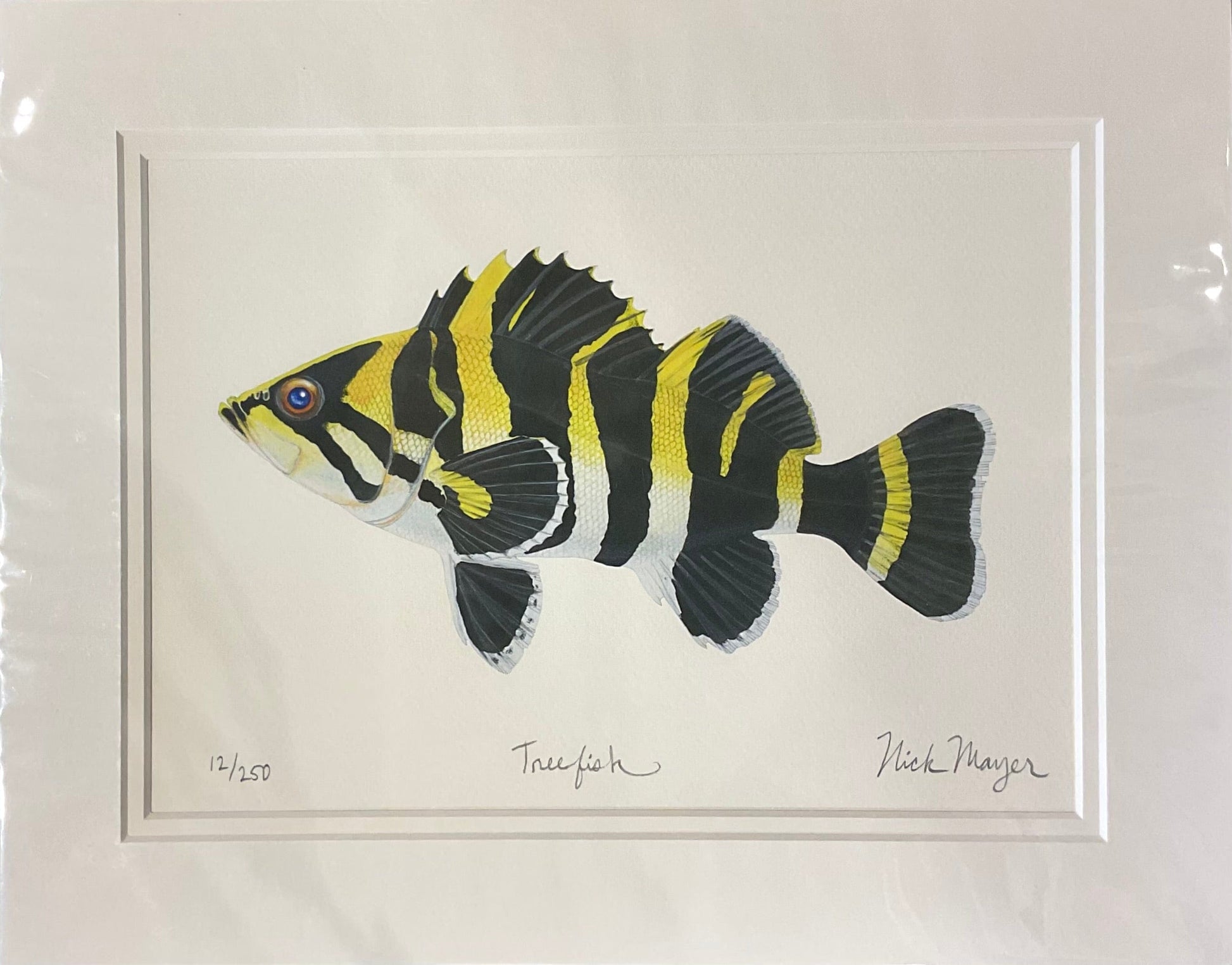 Treefish Giclee Print Nick Mayer Inventory